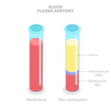 Kan Plazma Anatomisi 'nin 3B Isometric Düz İllüstrasyonu, Etiketli Anatomik Şema