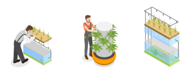 3 Boyutlu Isometric Hidrofonik, Havacılık ve Su Ürünleri Serasında Tarımsal Tarımsal Tarımsal Tarımsal Tarımlar