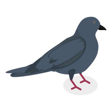 3D Isometric Flat Vector Set of City Birds, Sparrow, Tit, Pigeon, and Crow. Item 2