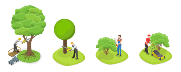 3 boyutlu Isometric Flat Profesyonel Bahçıvan, Bahçeler ve Parklar Bakım Servisi, Ağaç Kurutma