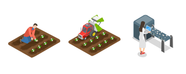 3 Boyutlu Isometric Flat Pamuk Çiftliği, Tarım Tekstil Endüstrisi