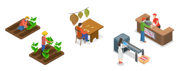 3 Boyutlu Isometric Tütün Sanayii, Sigara Üretimi Çizimi