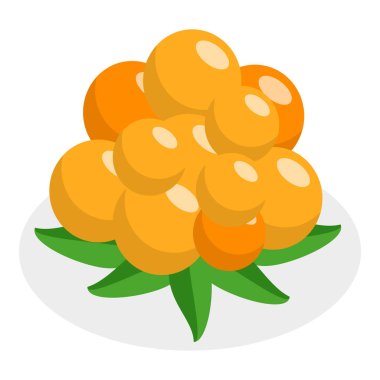 3 Boyutlu Isometric Düz Berry Seti, Sağlıklı Detox Doğal Ürünler. Madde 9