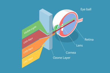 3D Isometric Düz Vektör Güneş Işığı Elektromanyetik Spektrumu, UV Işıkları ve Görünür Işık