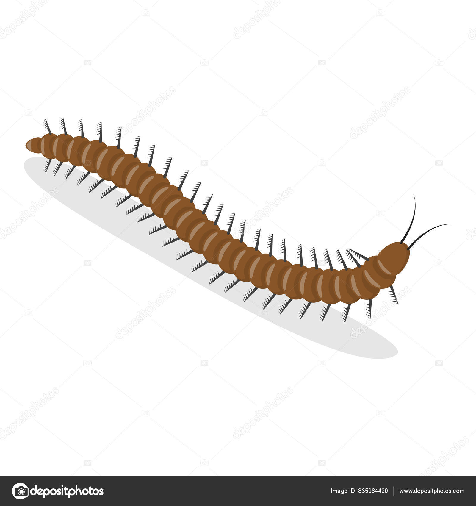 Cisticercosis y Teniasis: Prevención y Tratamiento Esencial, image size:1600x1700