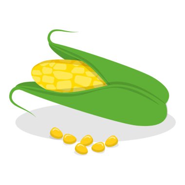 3 boyutlu Isometric düz vektör mısır gevreği seti, tahıl bitkileri. Madde 2