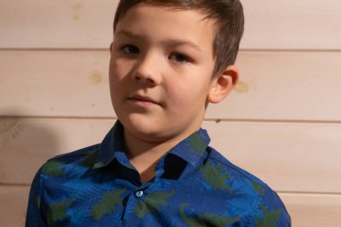 Mavi gömlekli, 8 yaşında esmer bir çocuğun portresi. Çok ciddi bir bakış.