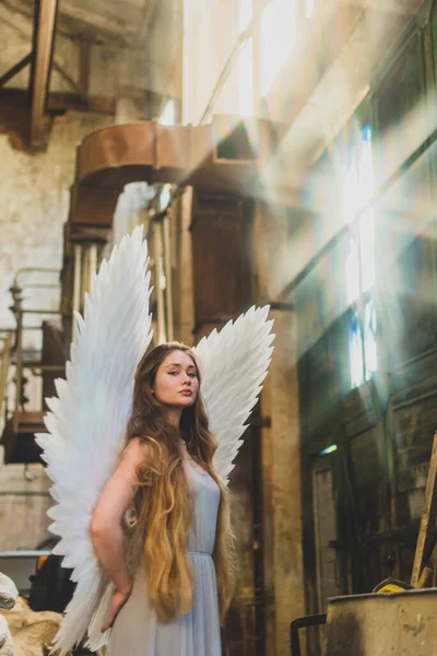 Елегантна Дівчина Ангельськими Крилами Дивиться Тебе Погляд Впевненість — стокове фото