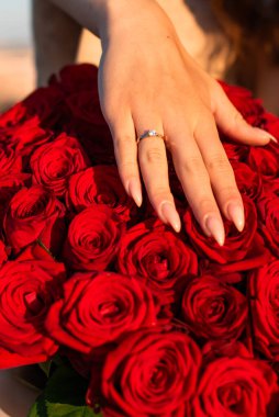 Gelin elini bir buket kırmızı gülün üzerinde tutuyor. Nişan.