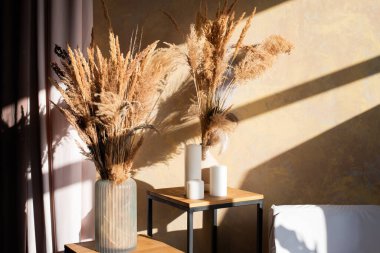Zarif vazolarda pampaların sergilendiği şık bir iç dekorasyon modern bir yaşam alanından gelen sıcak güneş ışığı ile birlikte.
