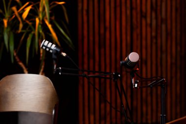 Two professional microphones are positioned for a podcast recording, with a wooden wall behind them and a greenery element adding a touch of nature to the studio environment. clipart