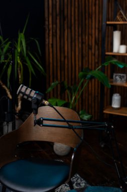 Bir mikrofon iyi dekore edilmiş bir görüşme yerinde duruyor. Konforlu ortam bitkiler ve ahşap elementleri içeriyor. Canlı yayın bölümü kaydetmek için mükemmel..