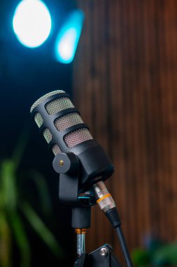 Yumuşak ışıklandırma ve bitkilerle çevrili bir stüdyo ortamında belirgin bir şekilde bir mikrofon sergilenmektedir. Bir podcast yayını veya röportaj oturumu için hazırlığı gösterir.