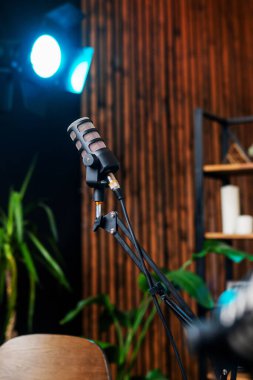 Stantta şık bir mikrofonun yer aldığı iyi donanımlı bir podcast stüdyosu. Sıcak ahşap zemin ve yumuşak ışıklandırma mülakatlar için mükemmel bir ortam yaratır..