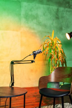 İyi donanımlı bir podcast stüdyosunda şık bir ahşap masa ve çağdaş bir sandalyenin yanında ayarlanabilir bir kola monte edilmiş şık bir mikrofon sergileniyor. Canlı arka planda bir bitki ve sıcak bir ışık var..