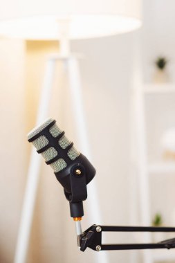 Pürüzsüz, şık bir mikrofon ayarlanabilir bir kola yerleştirilmiş, iyi ışıklandırılmış, davetkar bir odada. Lamba ve bitkiler yaratıcı işler için ideal ortamı geliştirir..