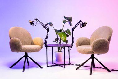 İki pelüş sandalye birbirine mikrofonla dönük, davetkar bir podcast ortamı yaratıyor. Küçük bir masa ve bir bitki uzaya hoş geldin dokunuşu ekler..