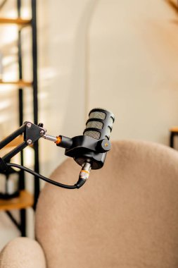 Bu rahat röportaj ayarında, şık bir sandalyeye yakın, gün ışığında podcast tartışmalarına ev sahipliği yapmak için mükemmel bir şekilde yerleştirilmiş, yüksek kaliteli bir mikrofon gösteriliyor..
