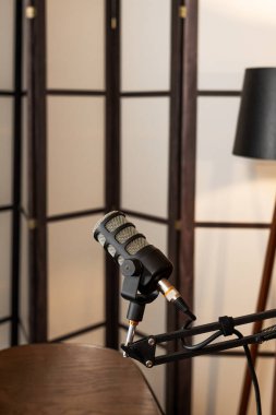Bir mikrofon, rahat ve iyi ışıklandırılmış bir kayıt alanında podcast röportajı için hazır..
