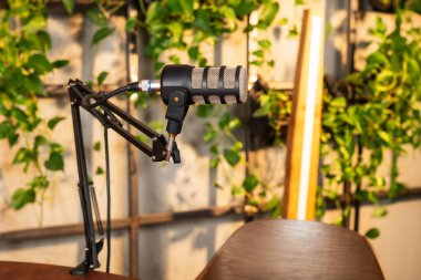 Podcast kurulumu, yemyeşil bitkilerle çevrili bir masaya yerleştirilmiş yüksek kaliteli bir mikrofonu içeriyor, röportaj yapmak ve sohbet etmek için davet edici bir alan yaratıyor.