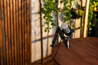 Ahşap bir masanın üzerine yerleştirilmiş şık bir mikrofonun podcast seti. Arkaplanda verimli bir yeşillik barındıran ortam, tartışmaları kaydetmek için ideal bir ortam oluşturuyor..