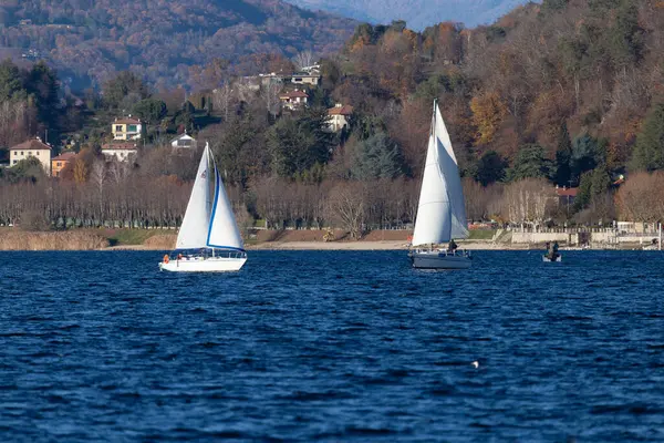 Forested Hills ve Autumn Scenery ile Picturesque Gölü 'nde yelkenliler.