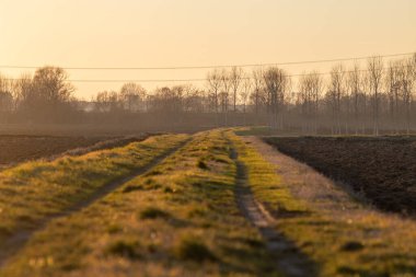 Sıcak Günbatımında Serene Kırsal Yolu Çimen Tarlalarında