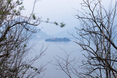 Sükûnet Adası Çıplak Ormanlar Arasında Sisli Şafak Arazisinde