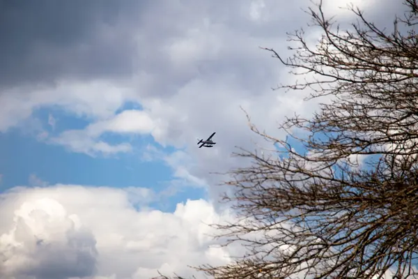 Çıplak Ağaç dallarıyla Bulutlu Gökyüzünde Uçan Küçük Uçak