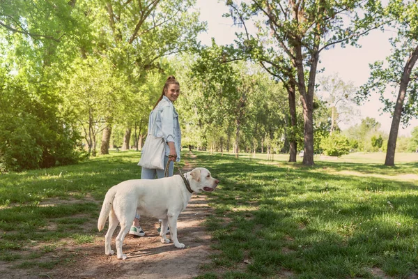 Genç bir kadın, hayvan kurtarma merkezinden Labrador Retriever adlı köpeği evlat edindi ve ona sevgi ve dostluk verdi. Dişi hayvan sever köpek yavrusuyla parkta vakit geçiriyor..