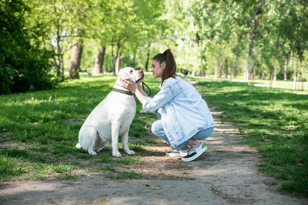 stock image Young woman adopt young dog Labrador Retriever from animal rescue center and gave him love and friendship. Female animal lover spending time with her puppy in the park.