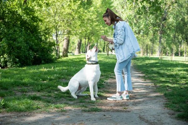 Genç bir kadın, hayvan kurtarma merkezinden Labrador Retriever adlı köpeği evlat edindi ve ona sevgi ve dostluk verdi. Dişi hayvan sever köpek yavrusuyla parkta vakit geçiriyor..