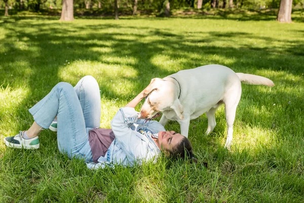 Mulher Jovem Adotar Cão Jovem Labrador Retriever Centro Resgate Animal — Fotografia de Stock