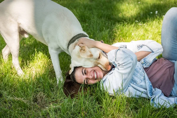 Young Woman Adopt Young Dog Labrador Retriever Animal Rescue Center — Stock Photo, Image