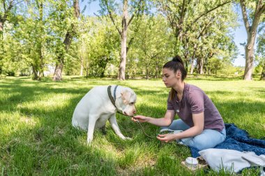 Young woman adopt young dog Labrador Retriever from animal rescue shelter center and gave him love and friendship. Female animal lover spending time with her puppy in the park.