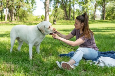 Young woman adopt young dog Labrador Retriever from animal rescue shelter center and gave him love and friendship. Female animal lover spending time with her puppy in the park.