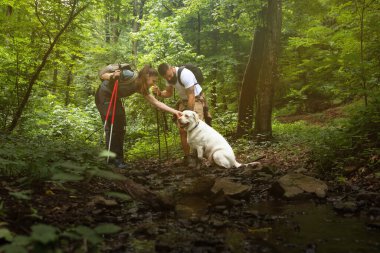 Güzel güneşli bir günde köpekleriyle çayırda yürürken genç çiftlerin keyfi yerinde. Yürüyüş, doğa, ilişki, birlikte. Şehir hayatından dağlara ve doğaya kaçıyorum.