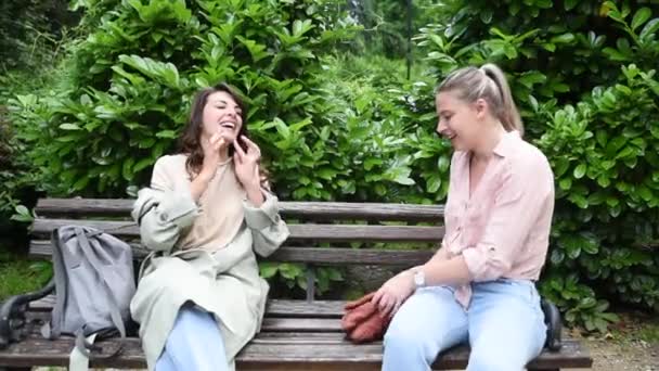 两个最好的朋友在外面聊天 坐在公园的长椅上 在阳光明媚的日子里 女人的友谊在城里人的交谈和幸福中 商界同事断断续续地闲聊 — 图库视频影像