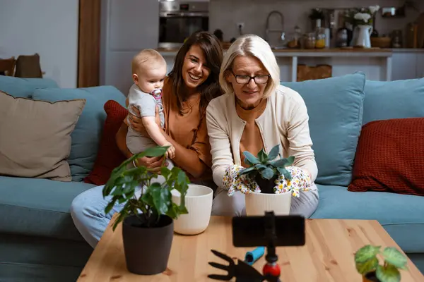 Grandmother mother and baby granddaughter transplant flowers together, change the humus in a bigger flowerpot, spend quality free time together at home and enjoy. Three female generations