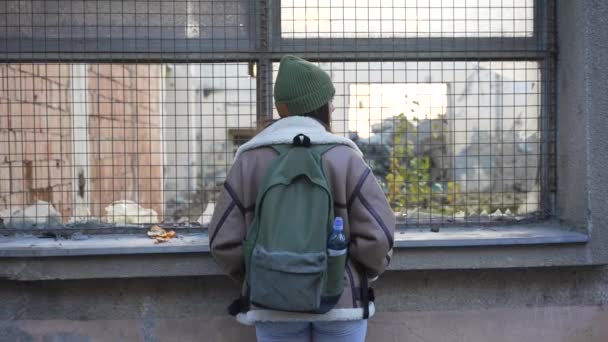 Молодая Грустная Бездомная Женщина Подавлена Брошена Стоя Улице Рядом Бывшим — стоковое видео