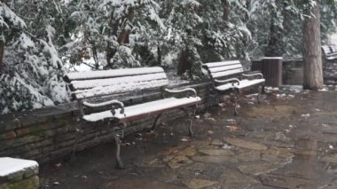 Soğuk bir günde, şehrin parkındaki ağaçlar ve dallar karla kaplıydı. Doğada beyaz kar yağışı