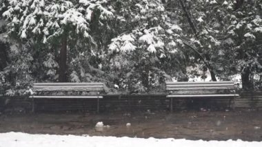 Soğuk bir günde, şehrin parkındaki ağaçlar ve dallar karla kaplıydı. Doğada beyaz kar yağışı