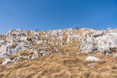 Sırbistan 'ın doğusundaki Rtanj Dağı' nın doğası ve doğal durumunun ayrıntıları. Rtanj dağı, kayalar ve bitki örtüsüyle Sırp piramidi olarak da bilinir..