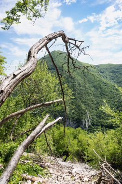 Ovcar ve Kablar dağları Sırbistan 'ın yeni Batı Morava nehri, doğal park, kayalar, ağaçlar ve çimen alanları manzarası. Korunan Sırp doğal parkı.