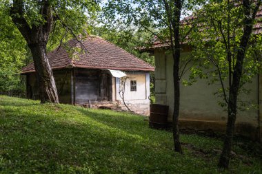 Ovcar ve Kablar dağları Sırbistan 'ın yeni Batı Morava nehri, doğal park, kayalar, ağaçlar ve çimen alanları manzarası. Korunan Sırp doğal parkı.