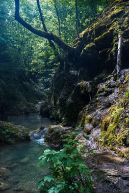 Ovcar ve Kablar dağları Sırbistan 'ın yeni Batı Morava nehri, doğal park, kayalar, ağaçlar ve çimen alanları manzarası. Korunan Sırp doğal parkı.