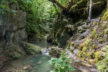 Ovcar ve Kablar dağları Sırbistan 'ın yeni Batı Morava nehri, doğal park, kayalar, ağaçlar ve çimen alanları manzarası. Korunan Sırp doğal parkı.