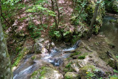 Ovcar ve Kablar dağları Sırbistan 'ın yeni Batı Morava nehri, doğal park, kayalar, ağaçlar ve çimen alanları manzarası. Korunan Sırp doğal parkı.