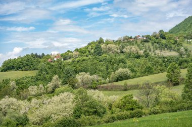 Ovcar ve Kablar dağları Sırbistan 'ın yeni Batı Morava nehri, doğal park, kayalar, ağaçlar ve çimen alanları manzarası. Korunan Sırp doğal parkı.