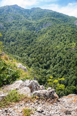 Details of the nature and natural state of the Rtanj mountain in eastern Serbia. Rtanj mountain, also known as the Serbian pyramid with rocks and vegetation. North hiking side with view clipart